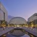 Kuwait University Majors