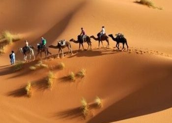 Tribes of Kuwait
