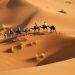 Tribes of Kuwait